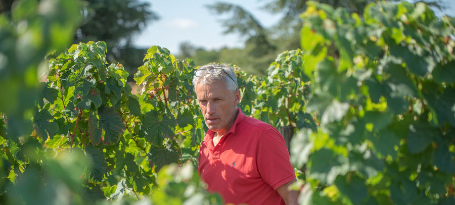 Domaine Ichard