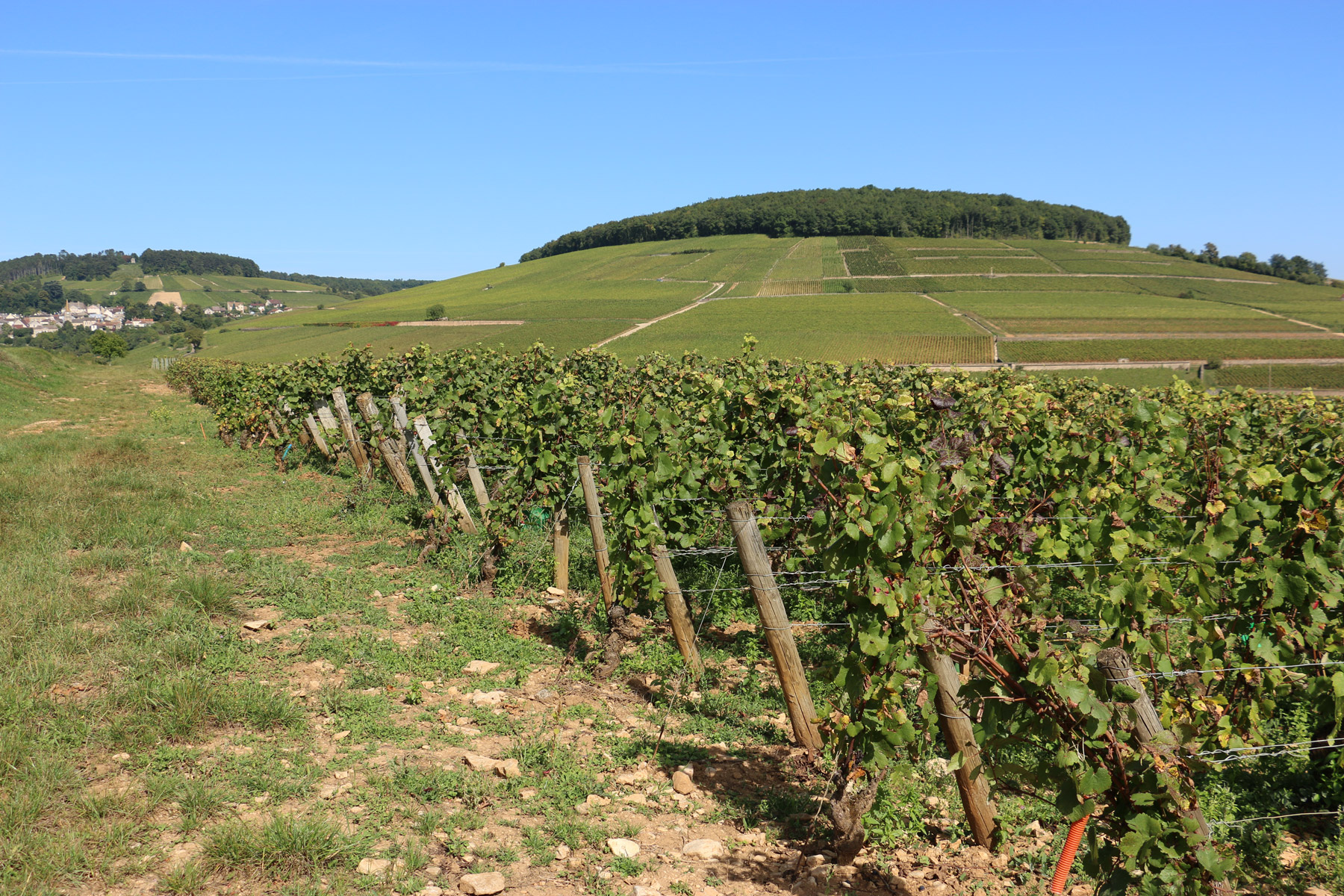 Domaine Isabelle Doudet