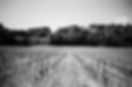 Domaine l Hermas