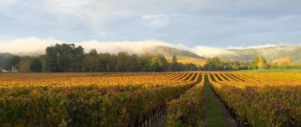Domaine la Borie