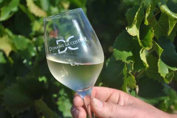 Domaine la Costesse