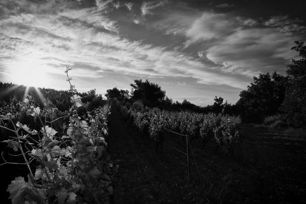 Domaine la Florane et Domaine de l'Echevin