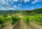Domaine la Martine