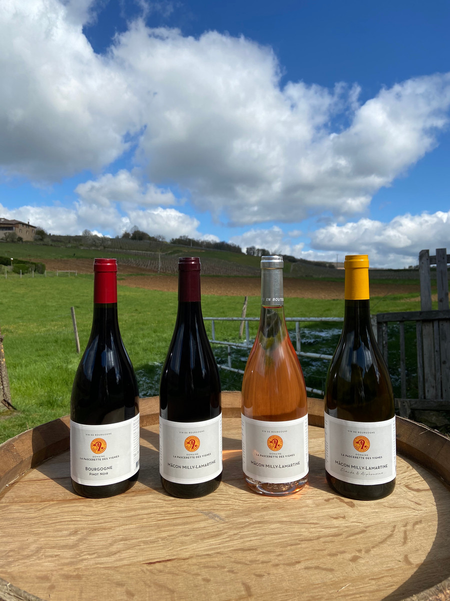 Domaine la Pascerette des Vignes