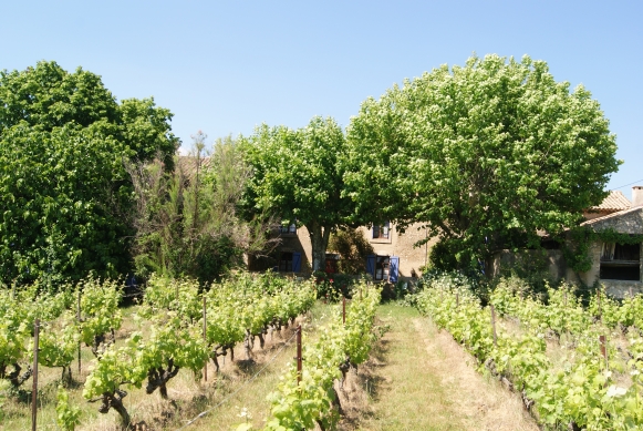 Domaine la Pierre-Laine