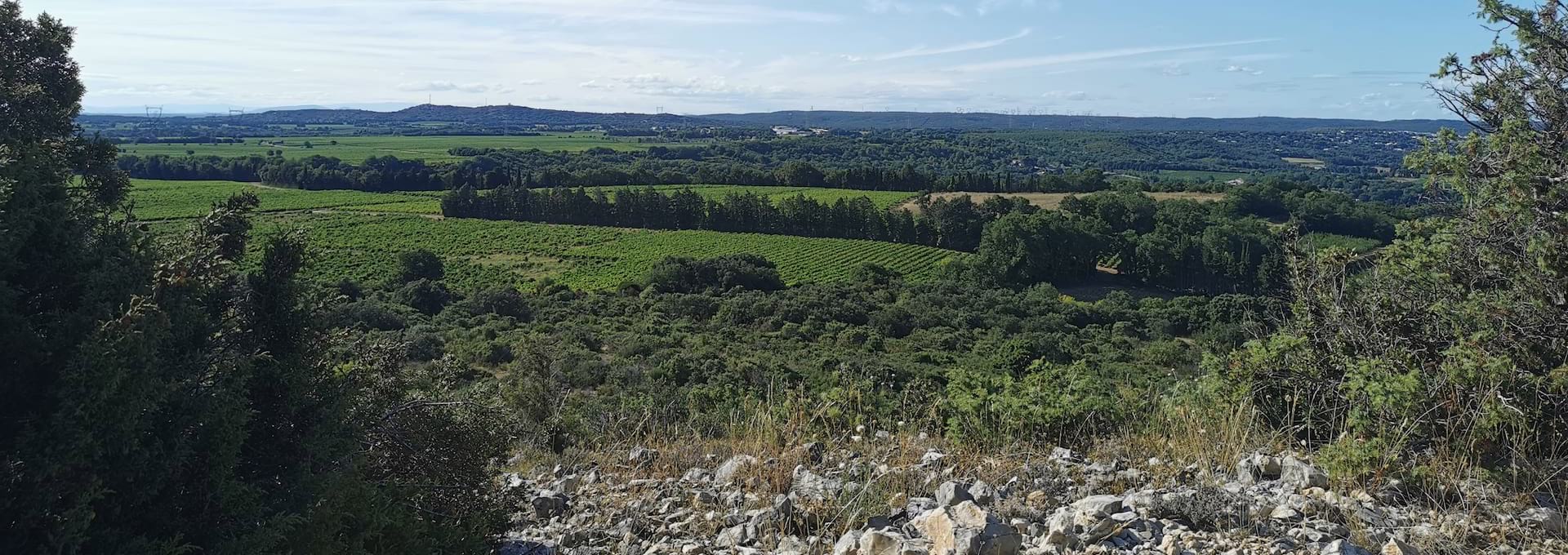 Domaine la Quine