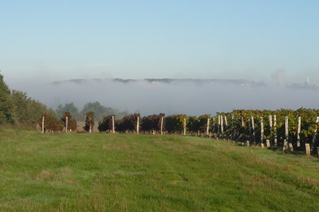 Domaine la Tour Beaumont
