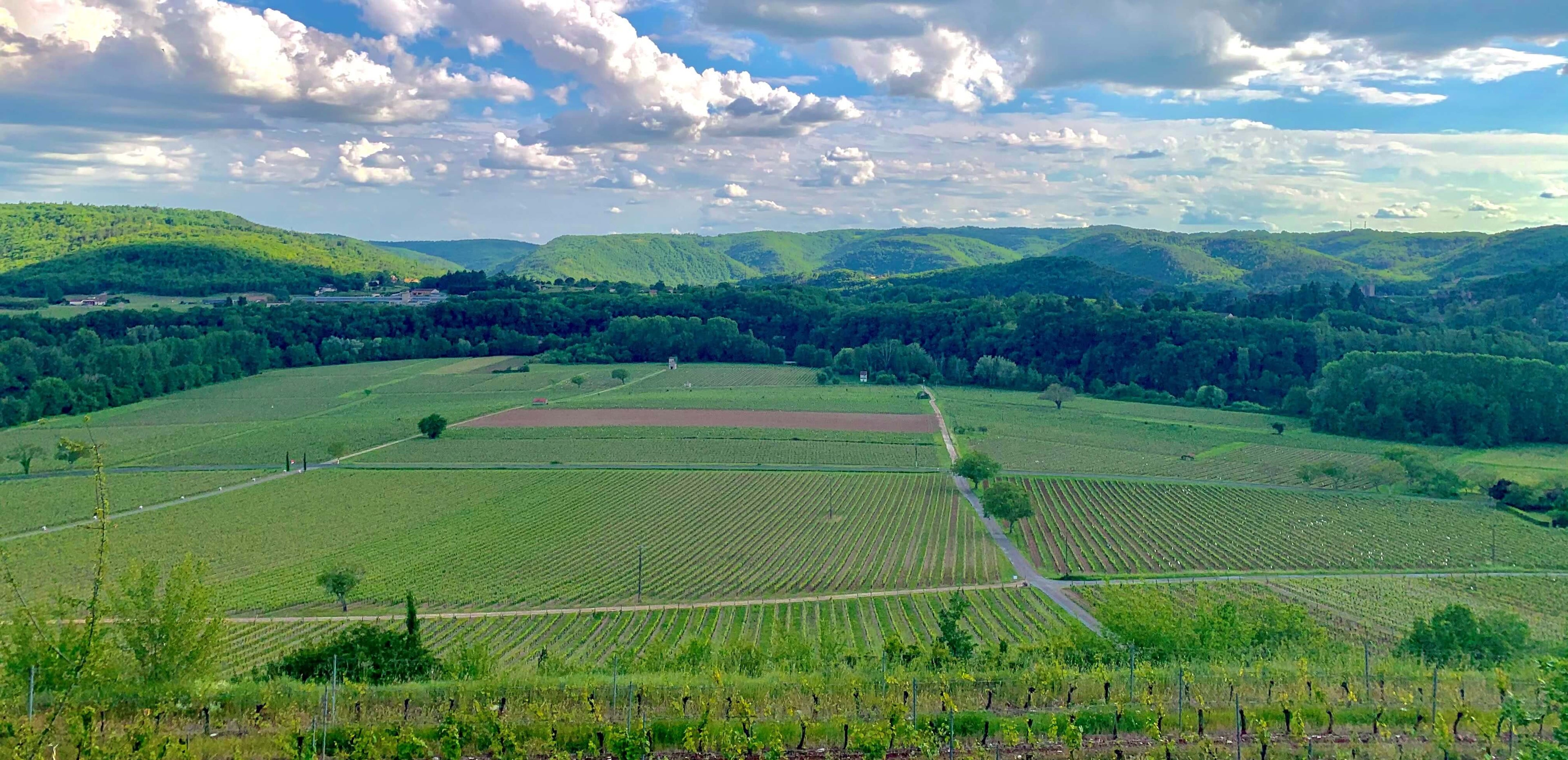 Domaine Lafon