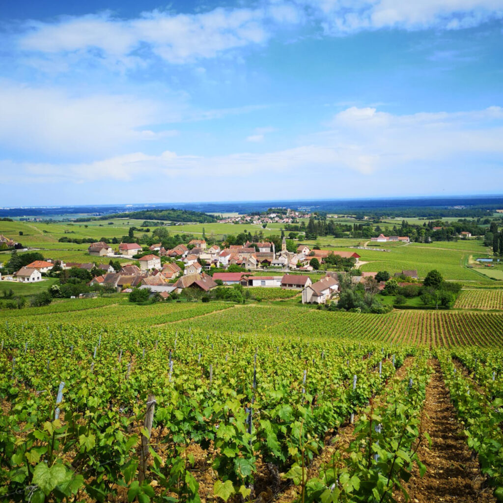 Domaine Lagarde