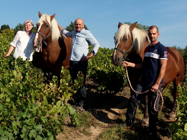 Domaine Lagneau