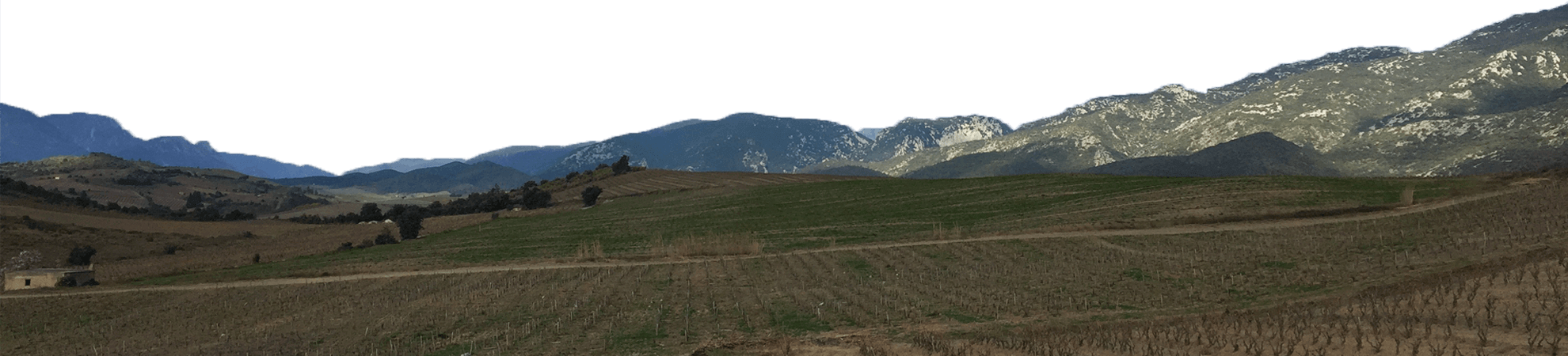 Domaine le Clos des Vins d'Amour