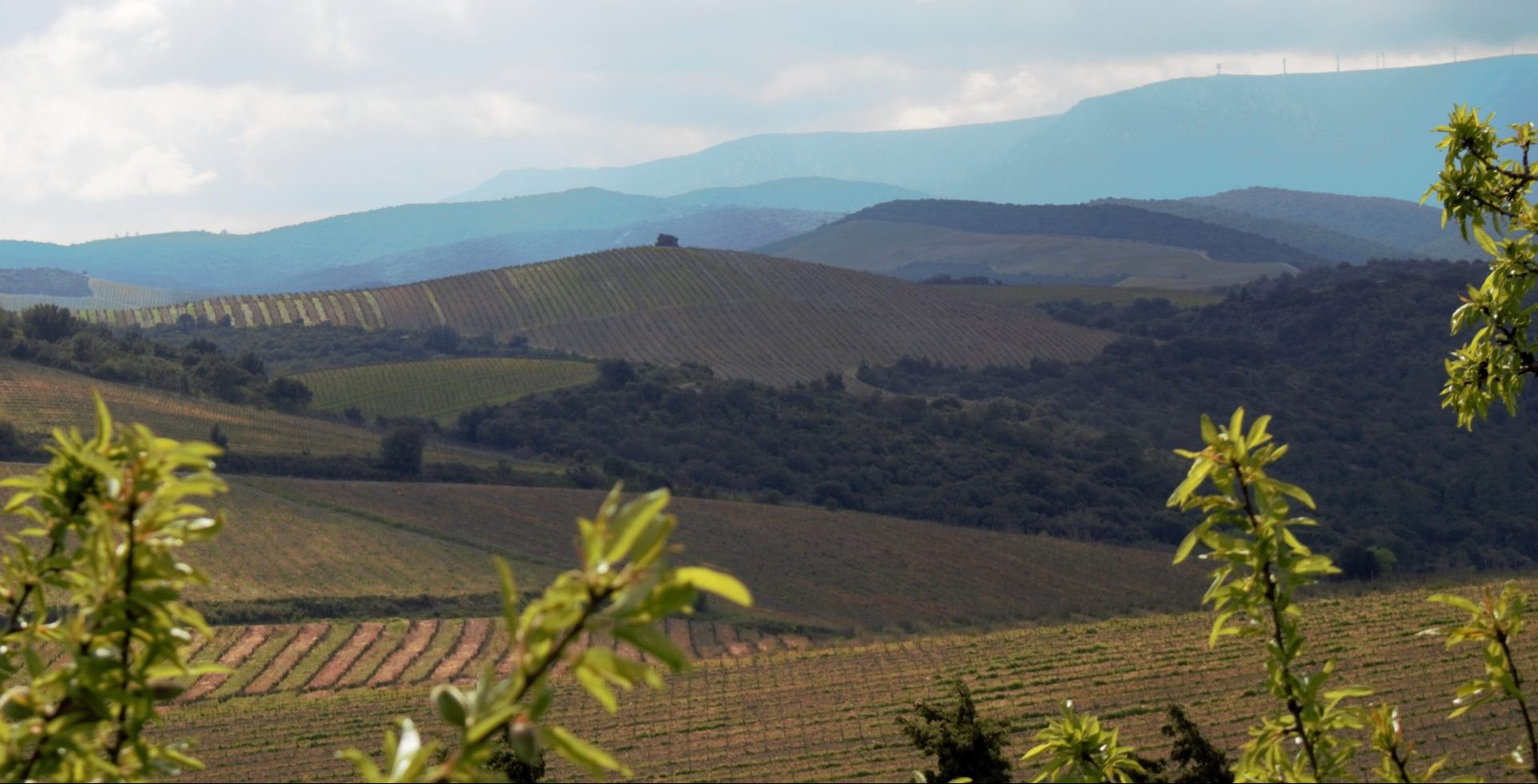 Domaine Lerys