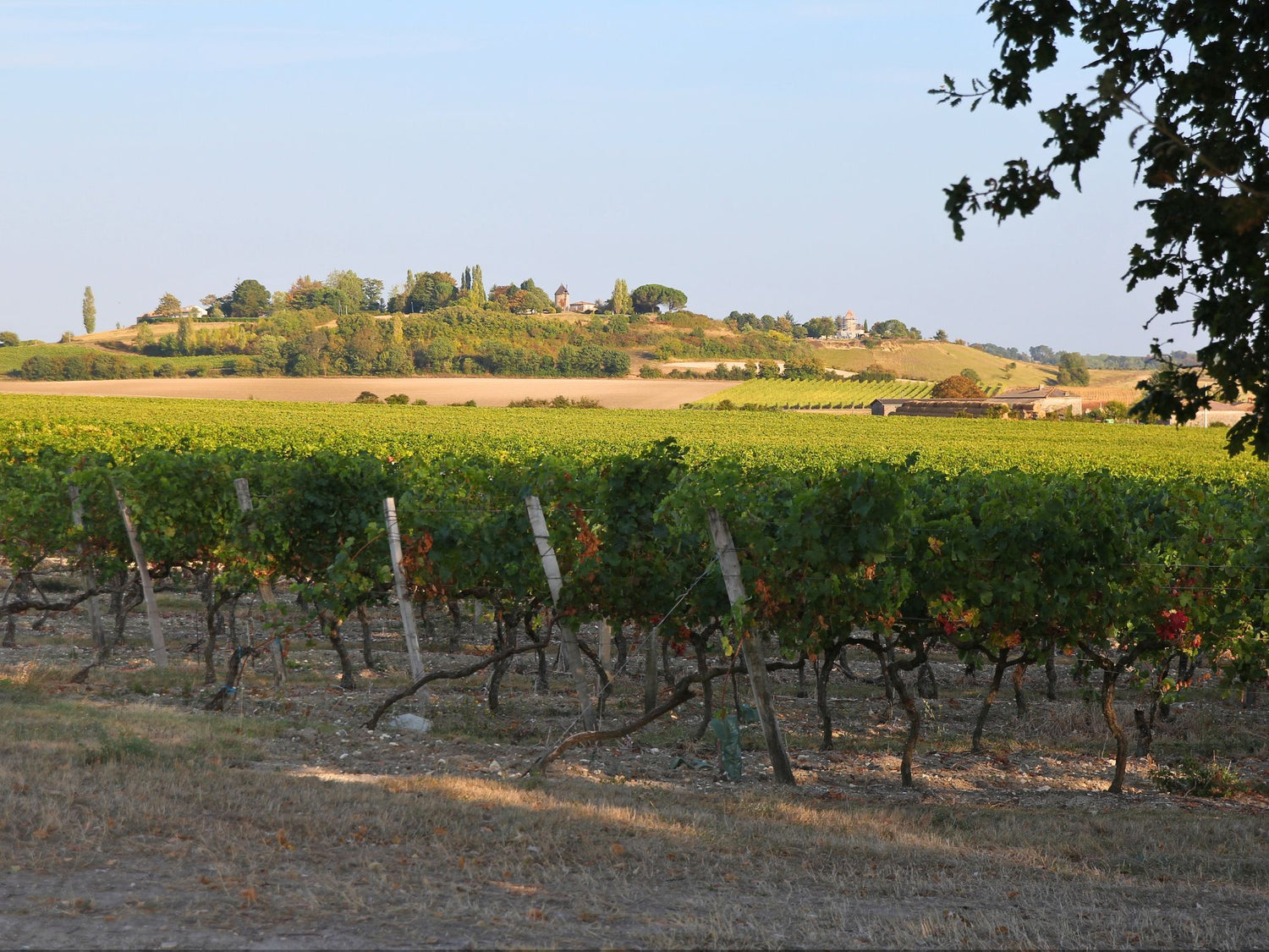 Domaine les Groies