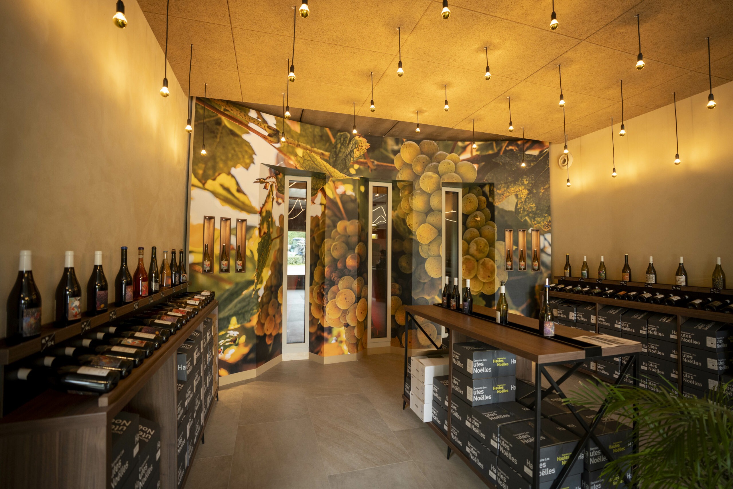 Domaine les Hautes Noelles
