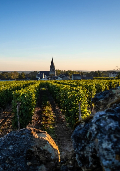 Domaine les Méribelles - Elodie Deze