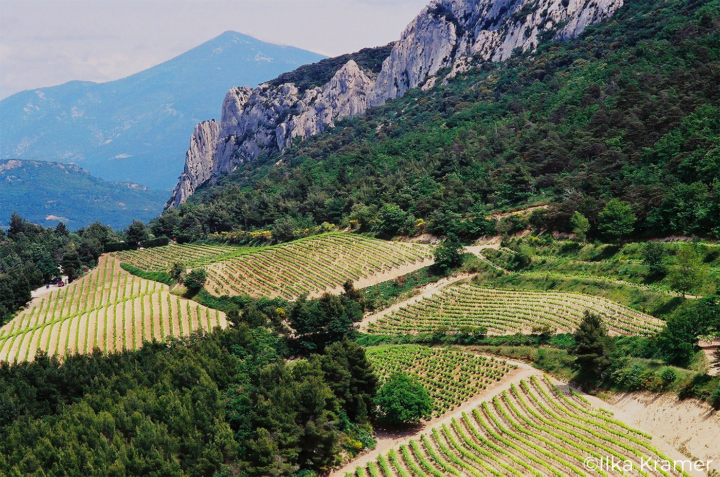 Domaine les Teyssonnieres