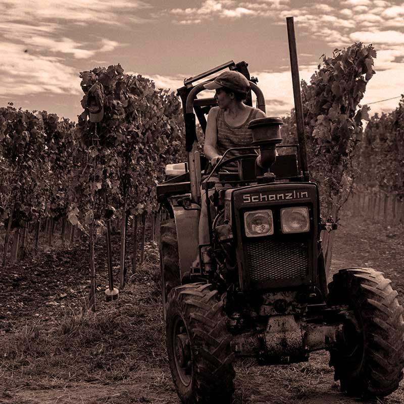 Domaine Lucien Marzolf