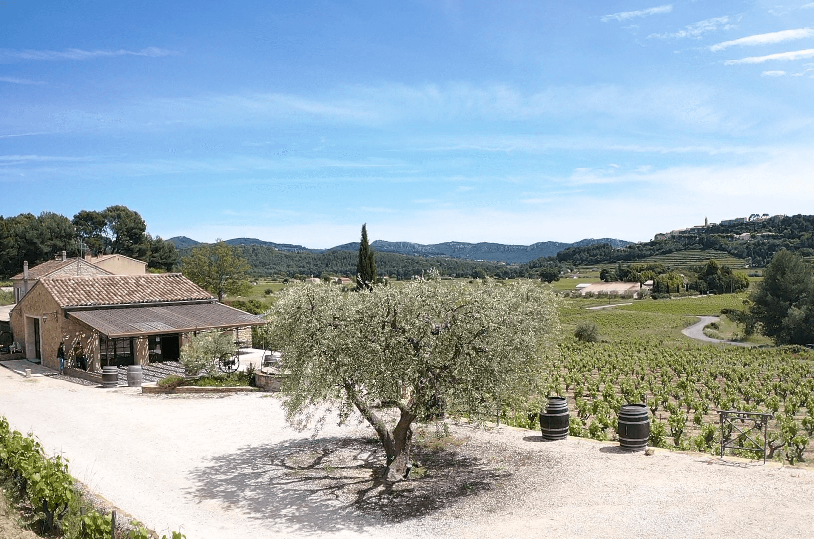 Domaine Lou Capelan