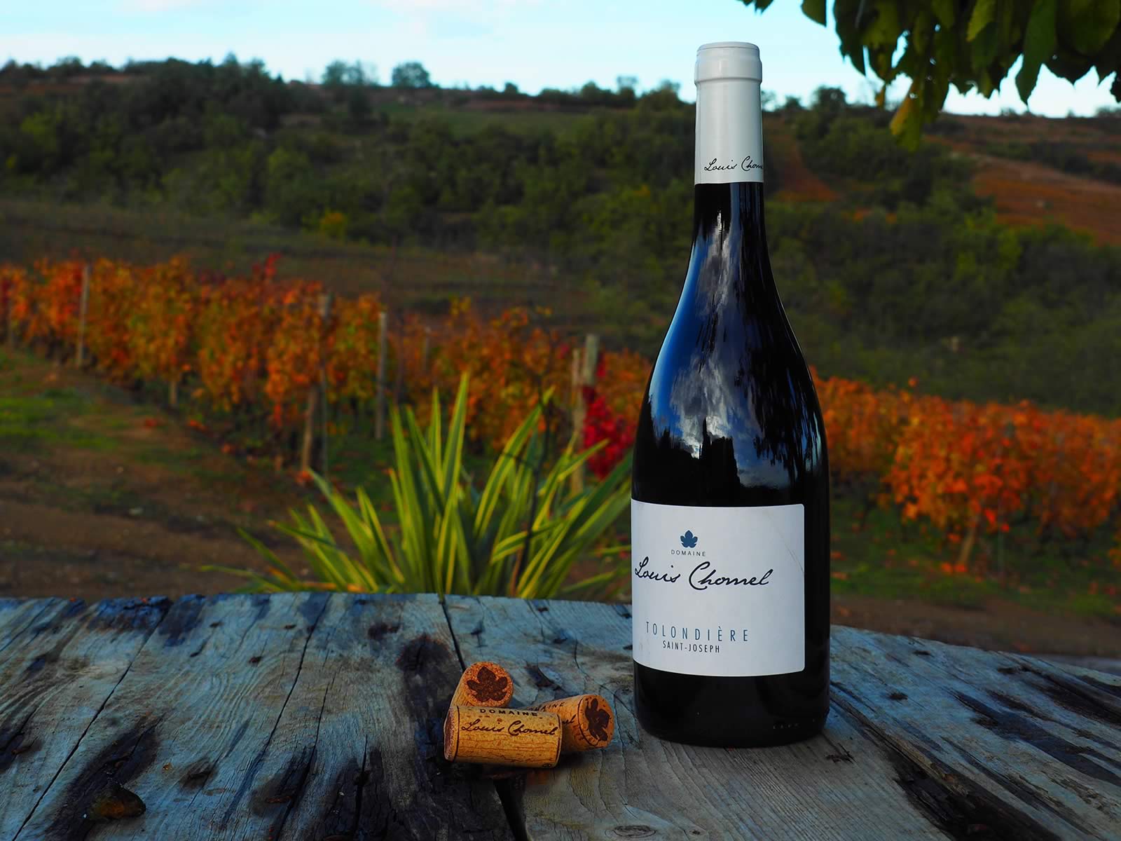 Domaine Louis Chomel