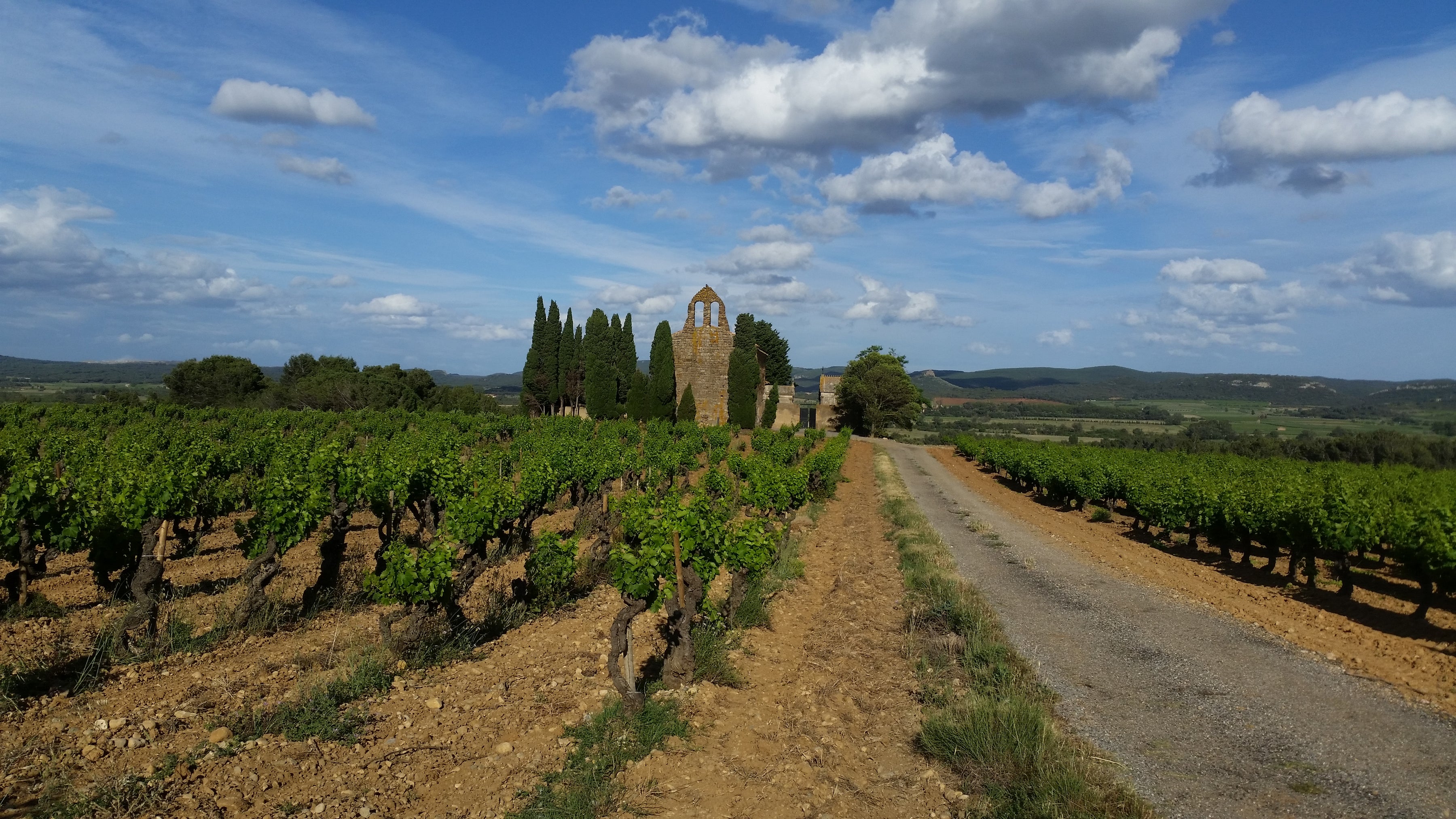 Domaine Martinolle-Gasparets