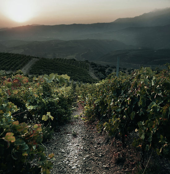 Manousakis Winery