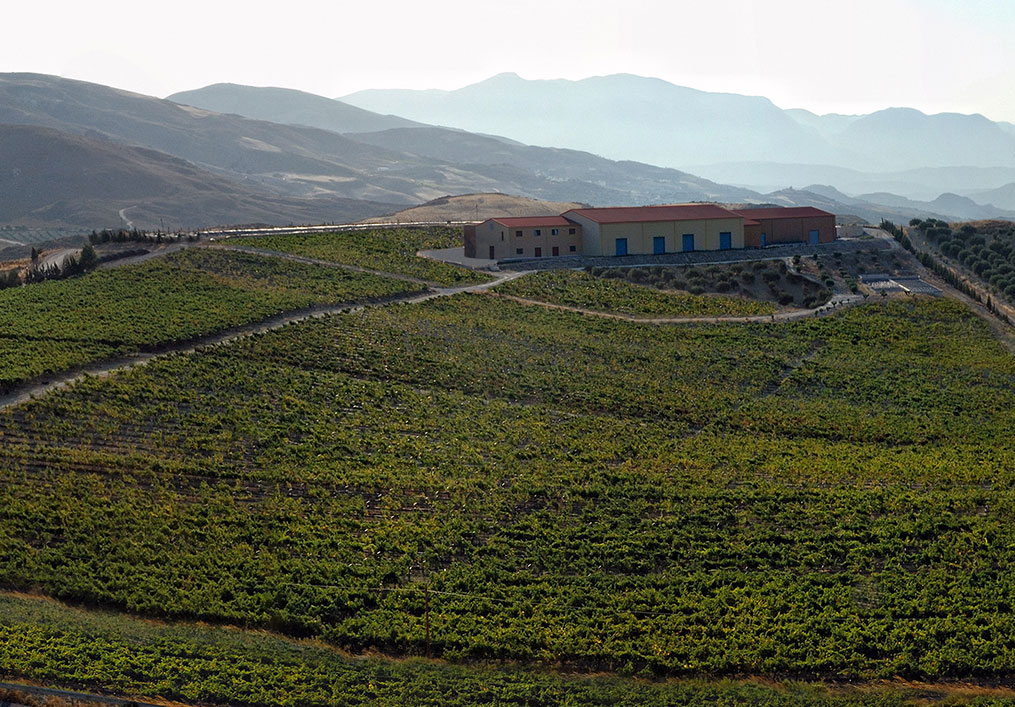 Michalakis Estate