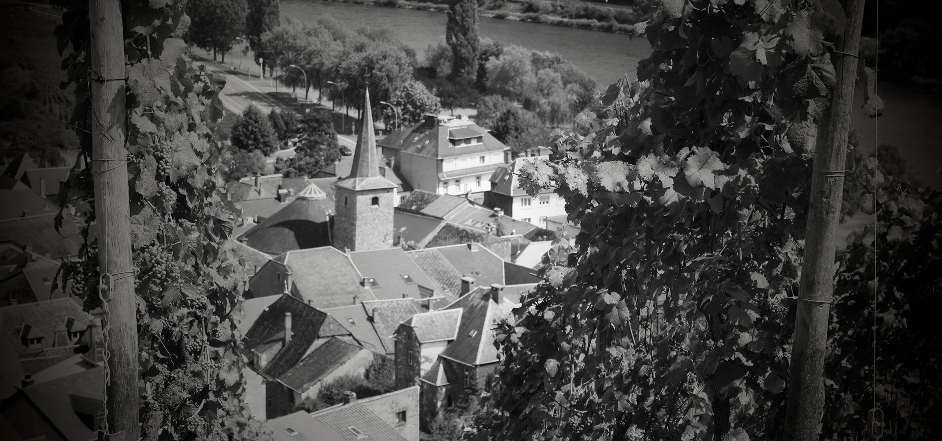 Caves J. Leuck-Thull