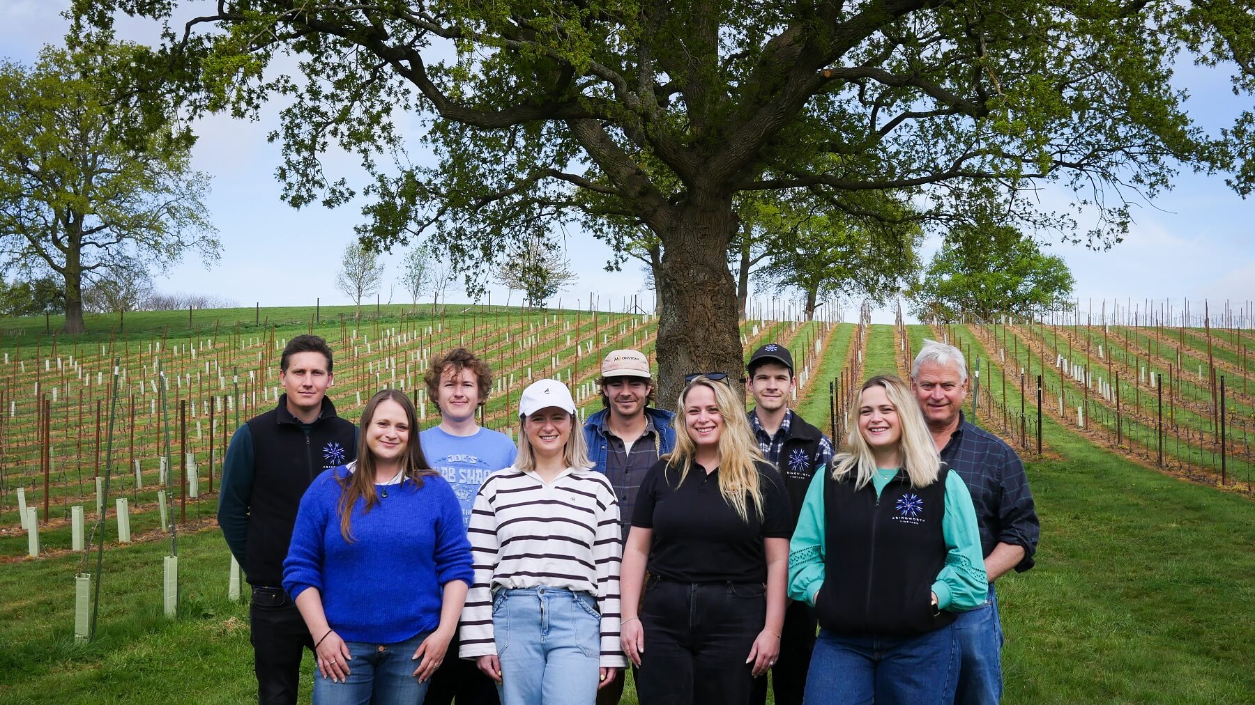 Abingworth Vineyard