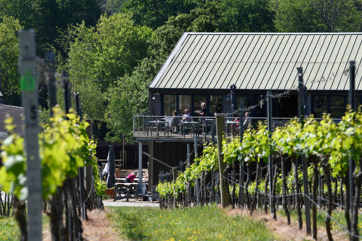 Bolney Wine Estate