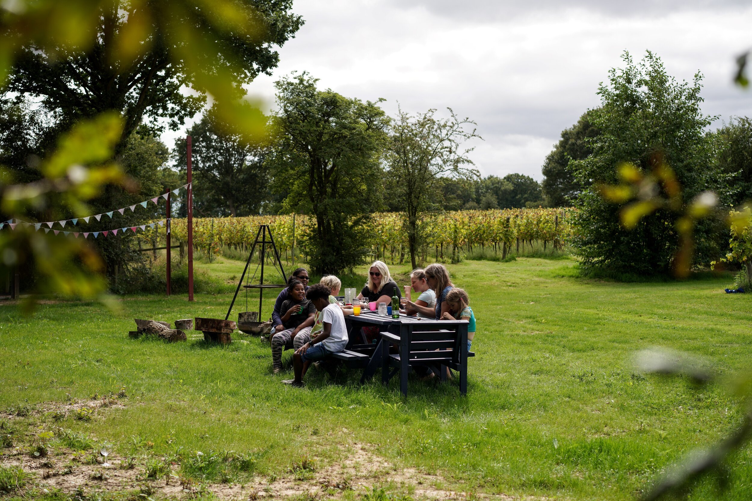 Brissenden Vineyard