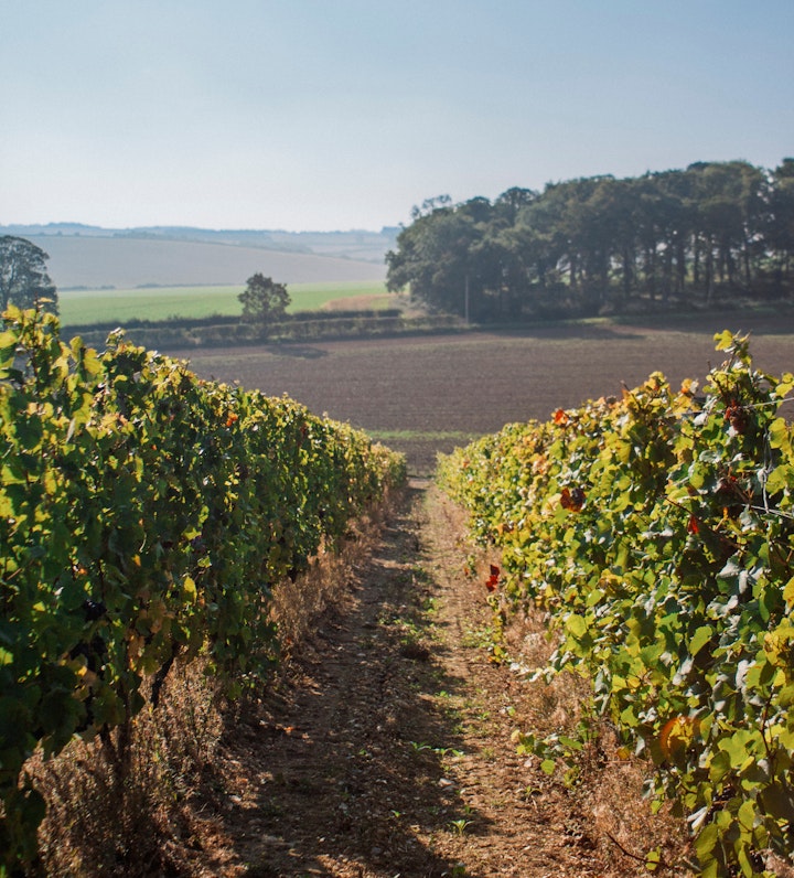 Cobble Hill Winery