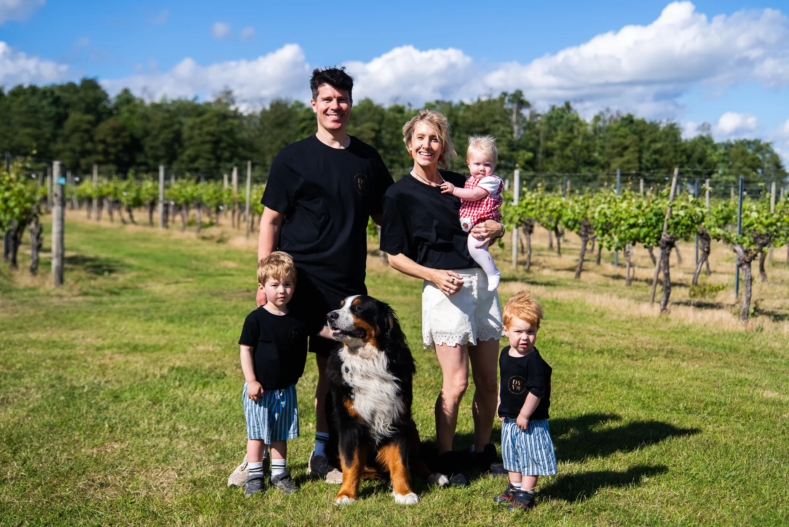 Dedham Vale Vineyard