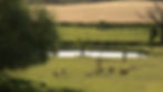 Deer Park