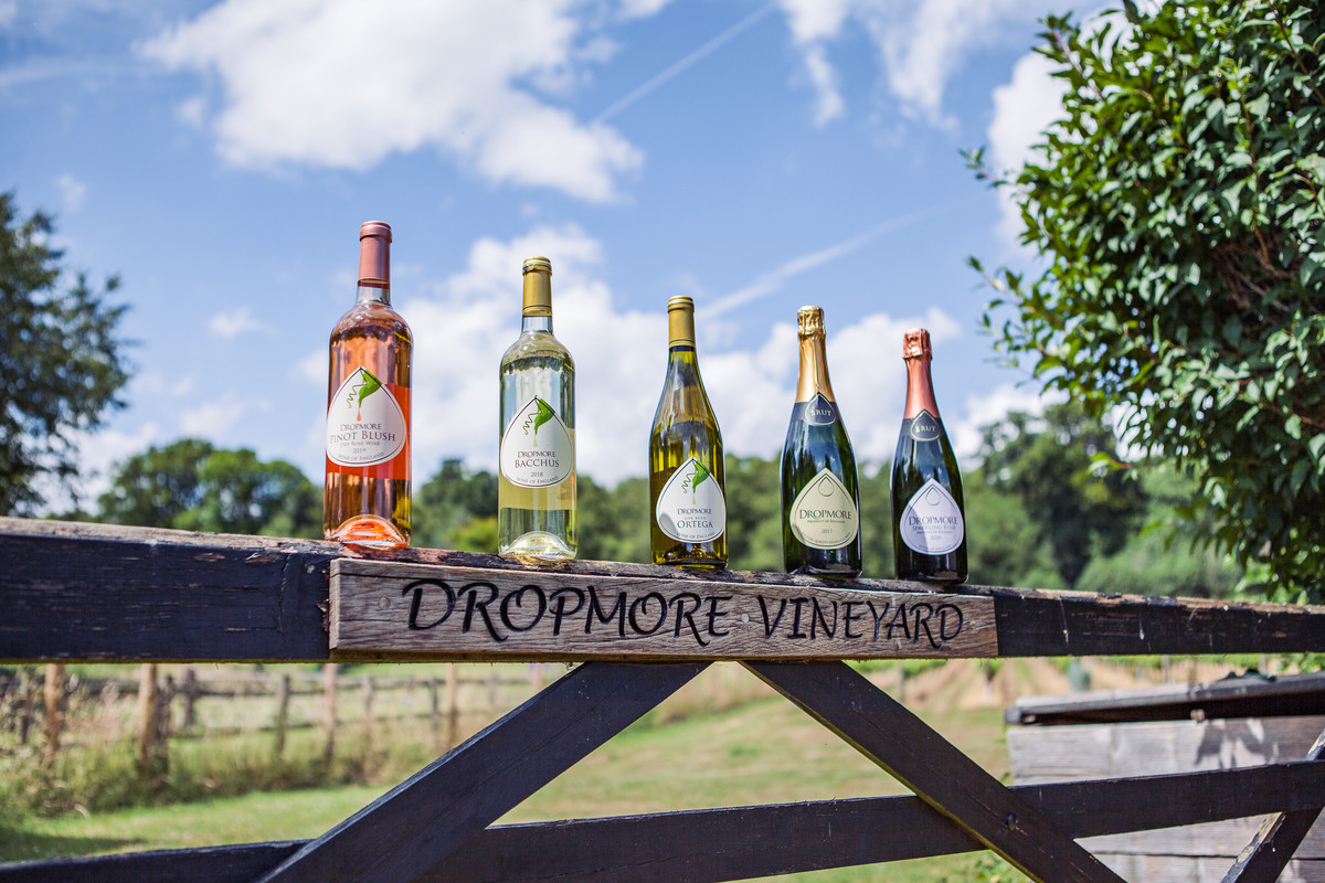 Dropmore Vineyard