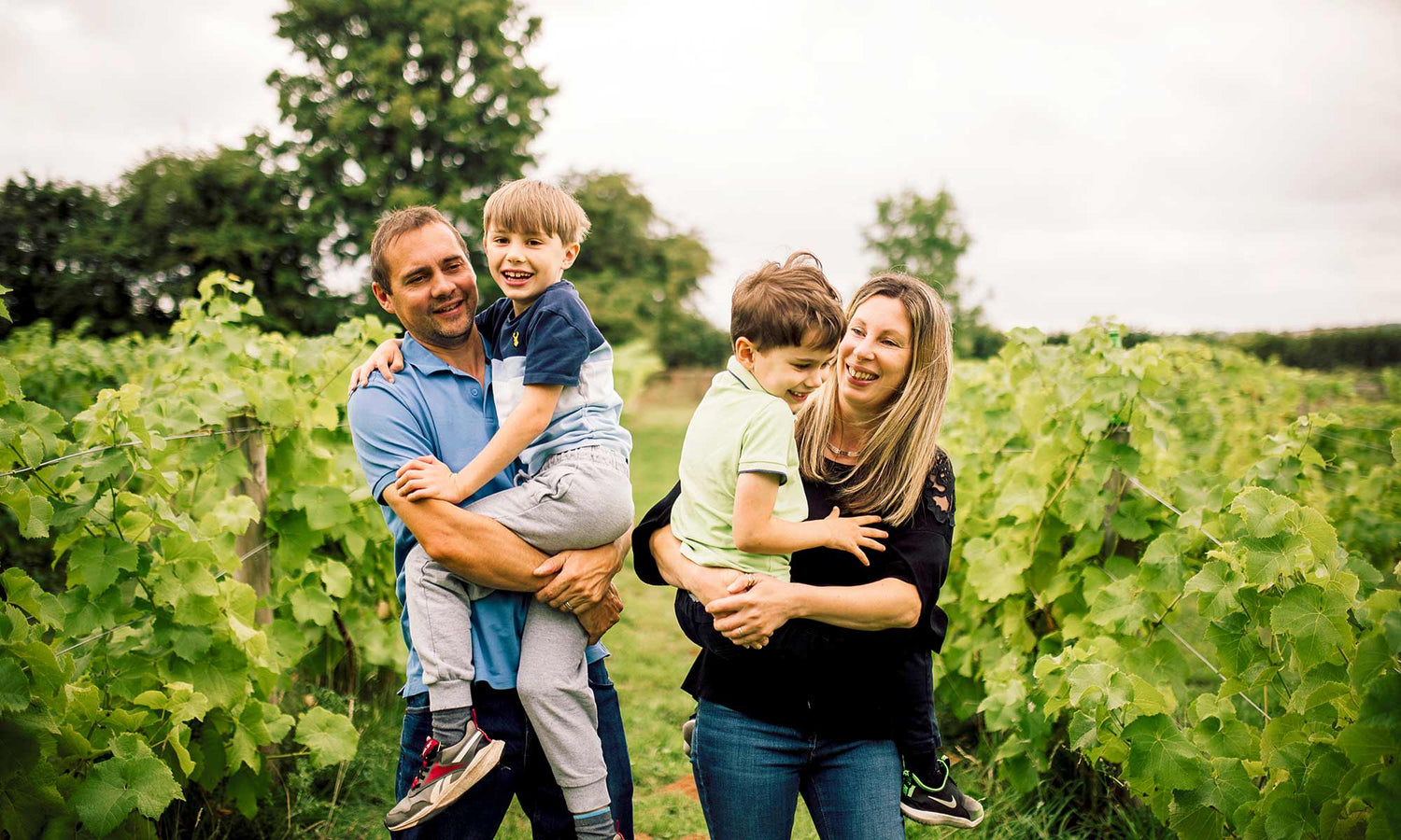 Hanley Vineyard