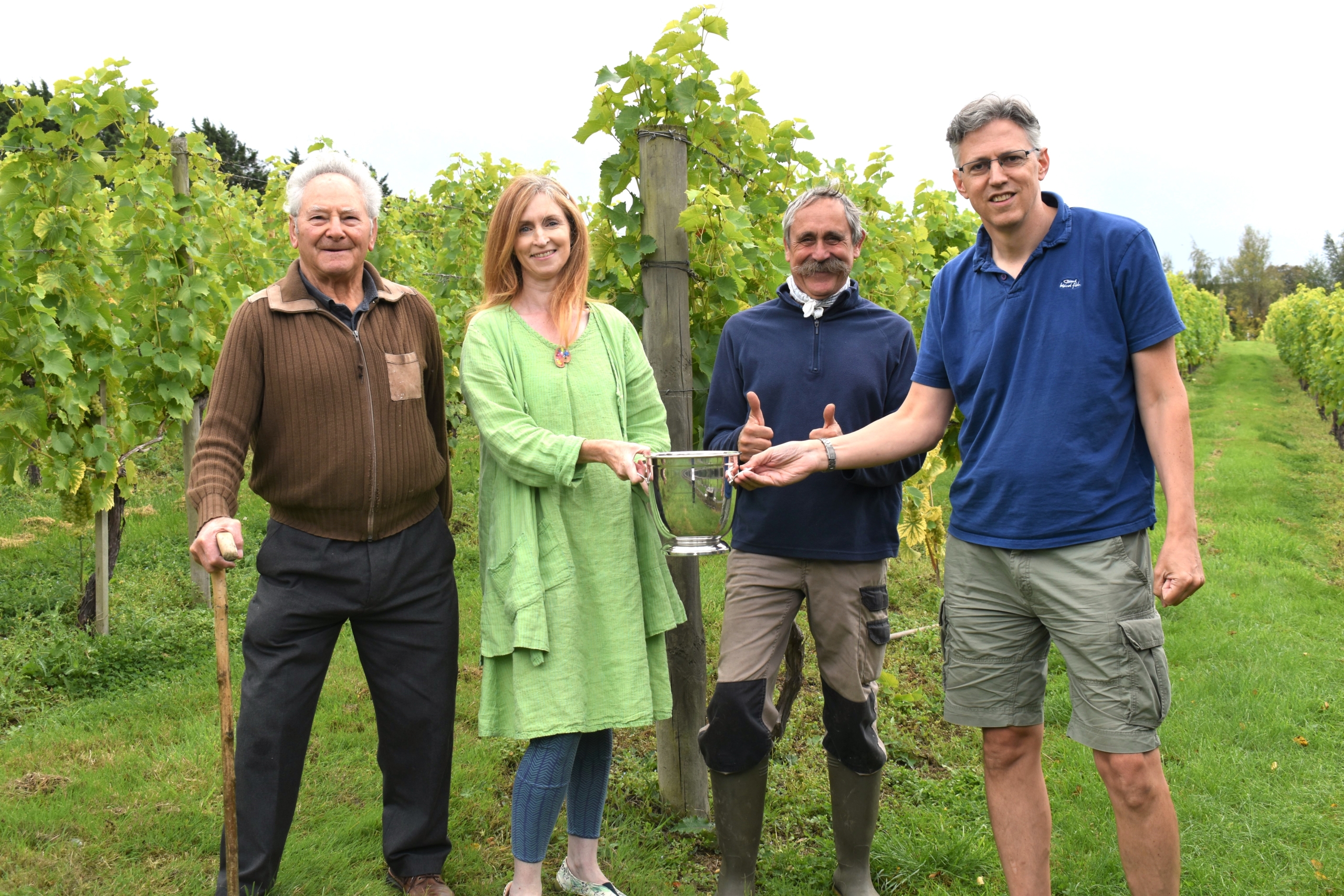 Hendred Vineyard
