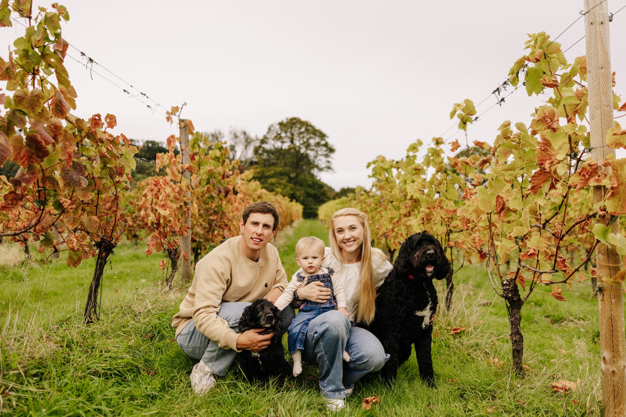 Llaethliw Vineyard