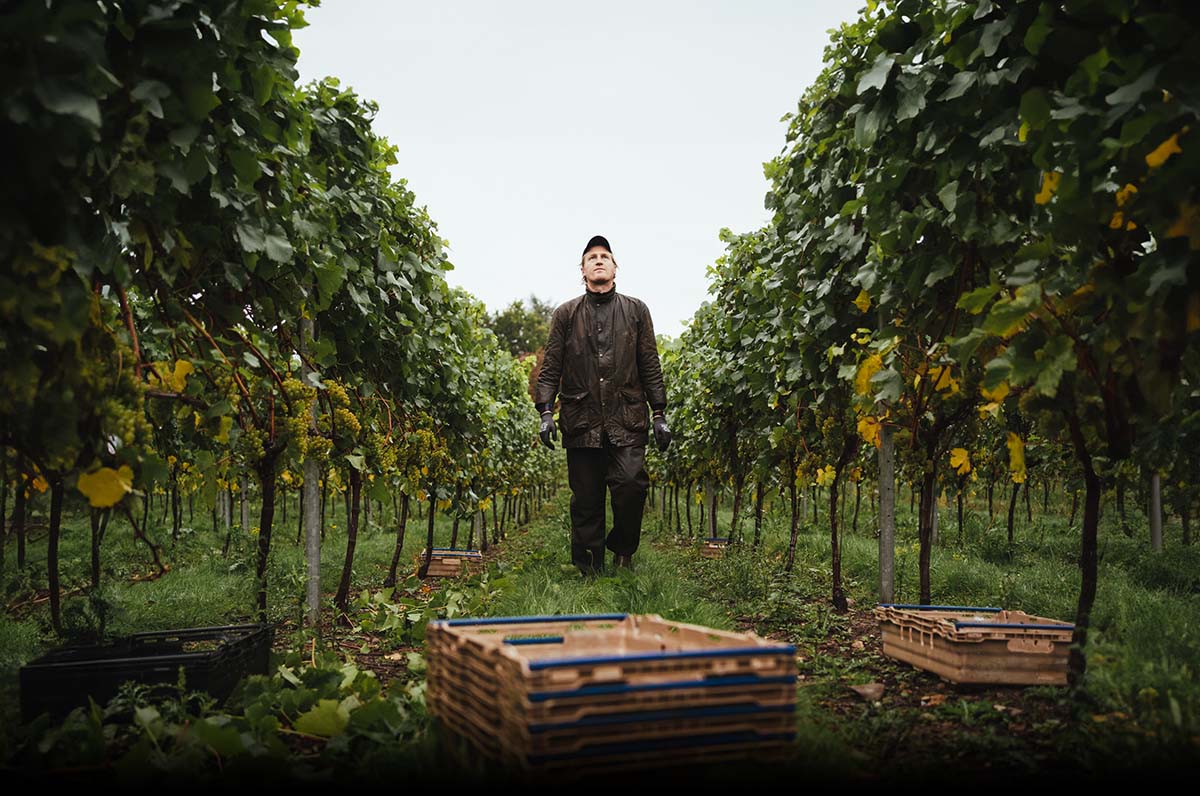 Mereworth Wines Ltd