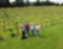 Oatley Vineyard