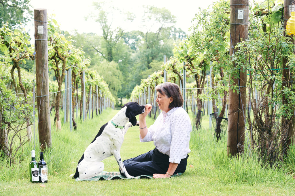 Rothley Wine Limited
