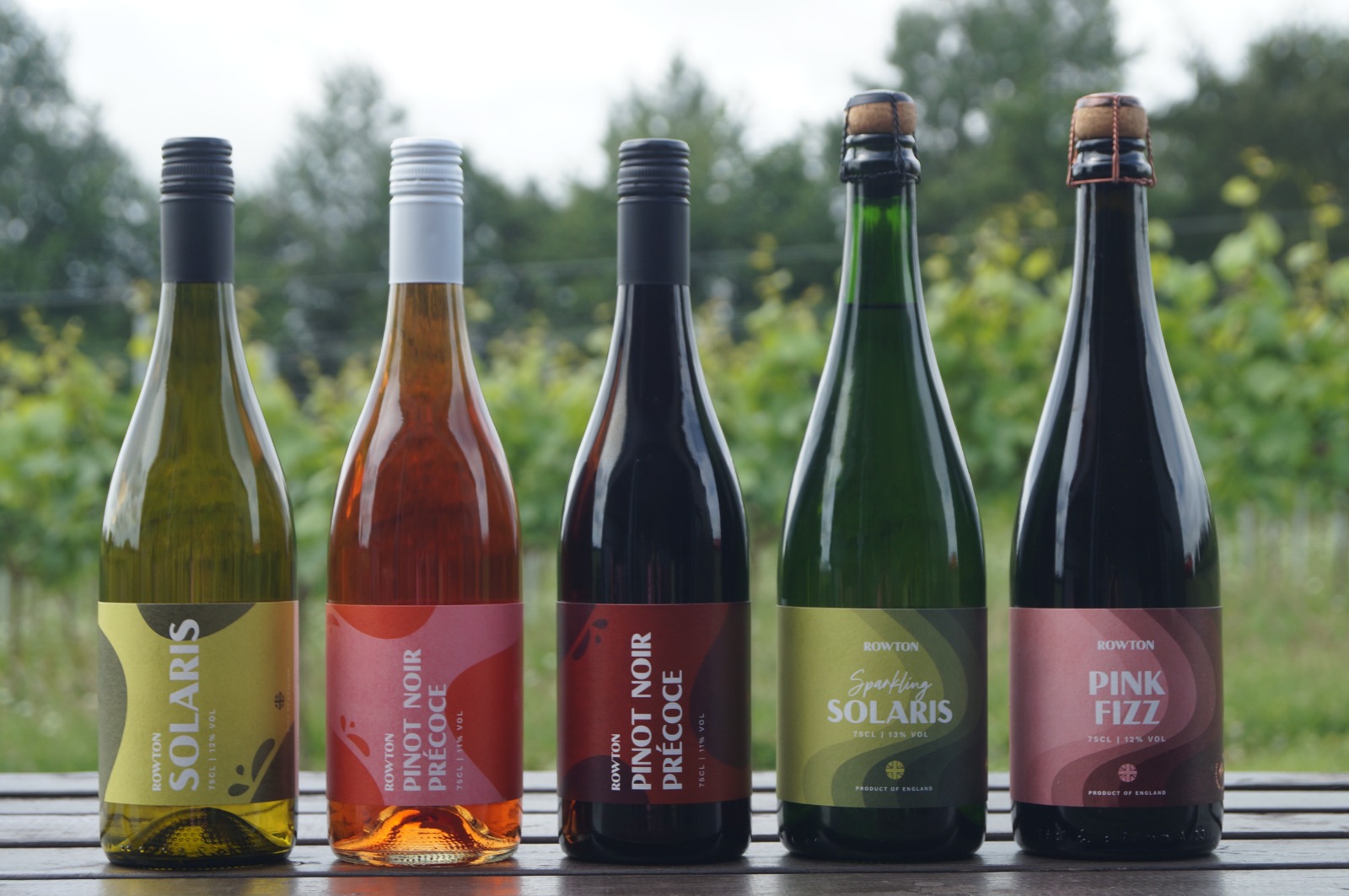 Rowton Vineyard