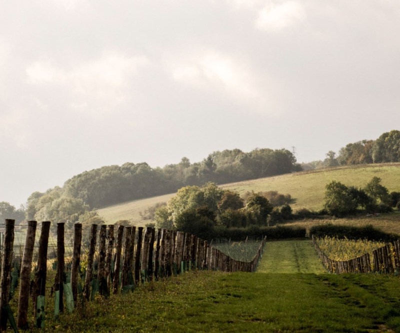 Silverhand Estate