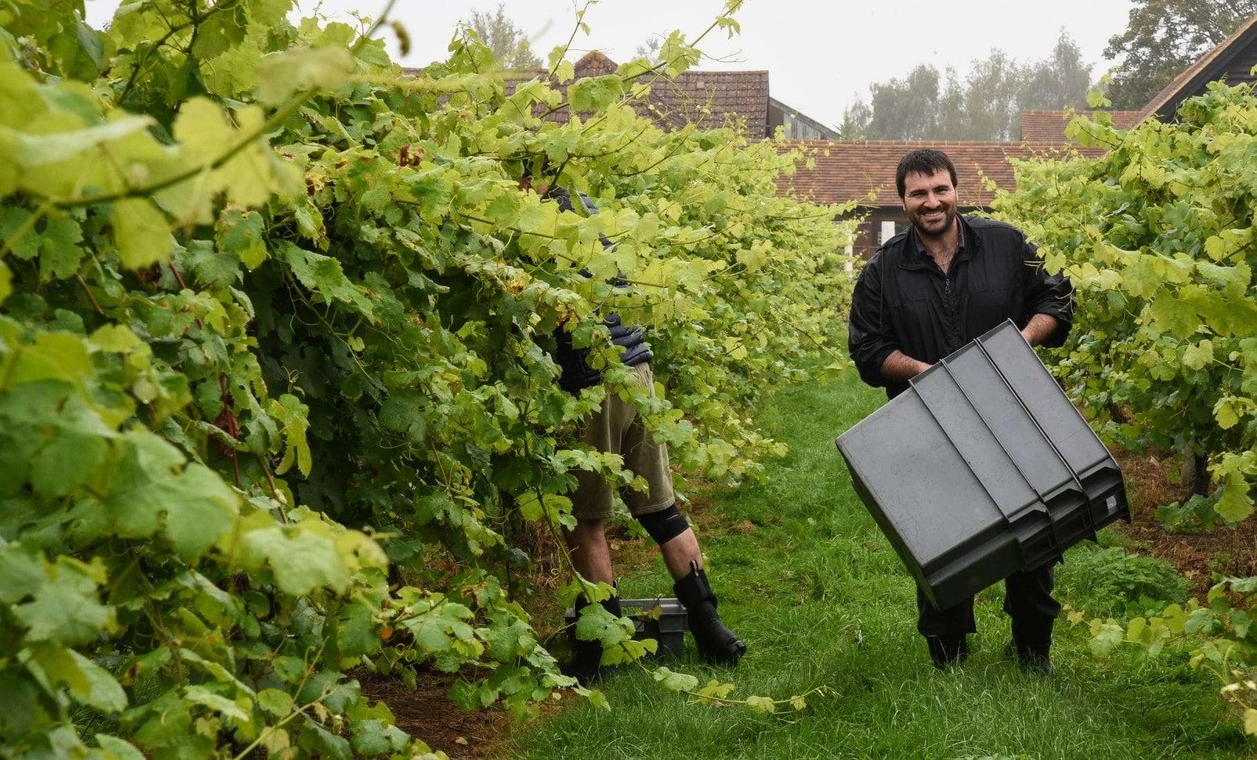 Stanlake Park Wine Estate