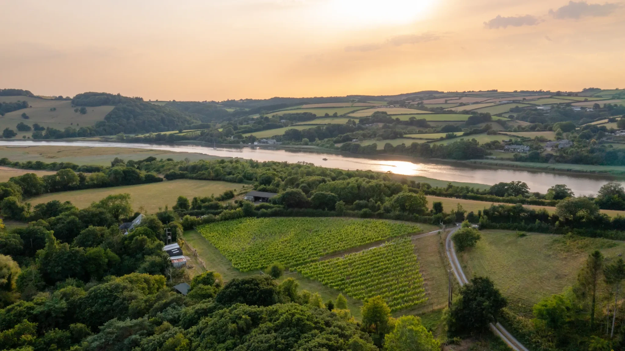 Tamar Valley Vineyard