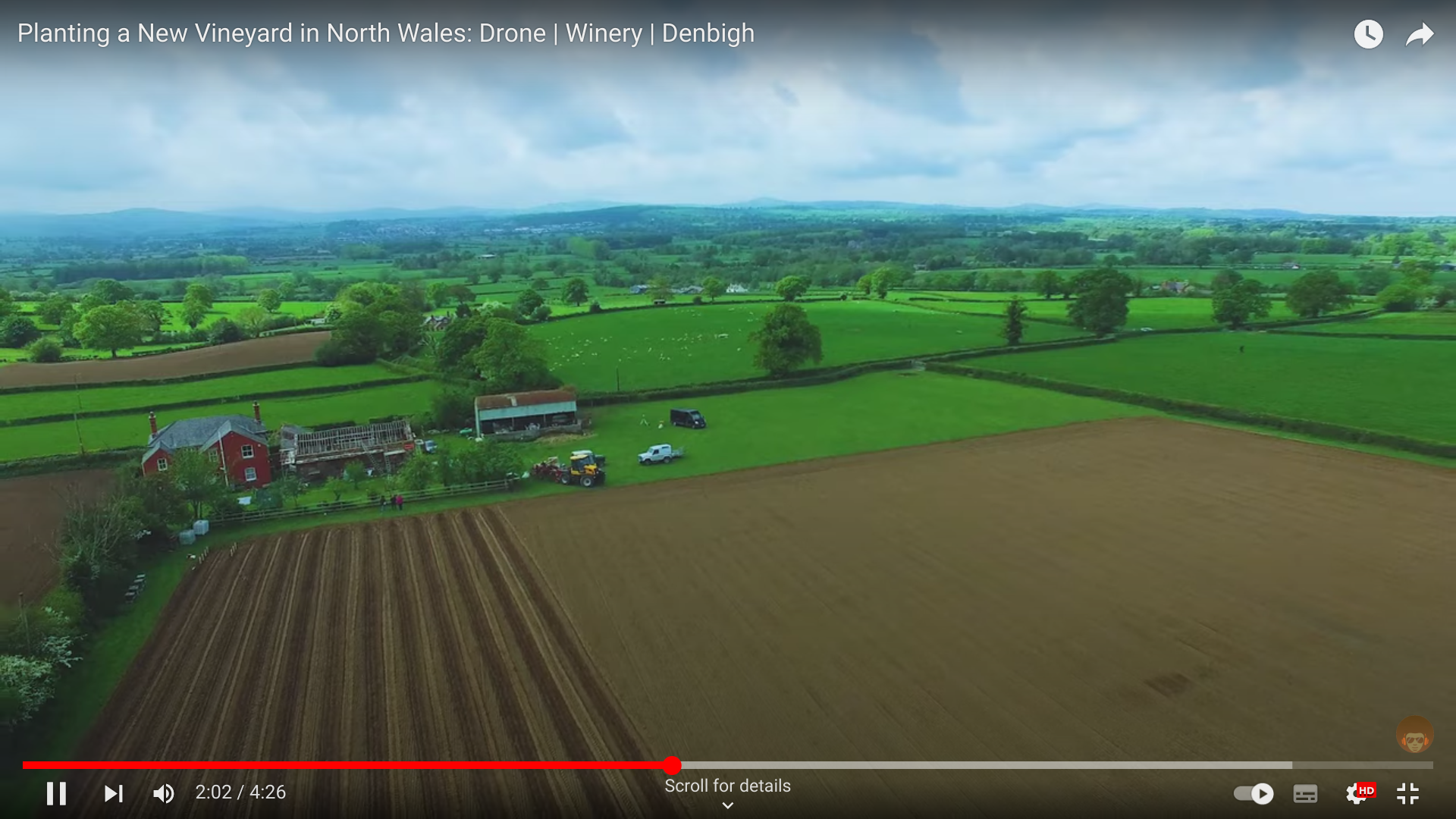 Vale Vineyard - Gwinllan Y Dyffryn