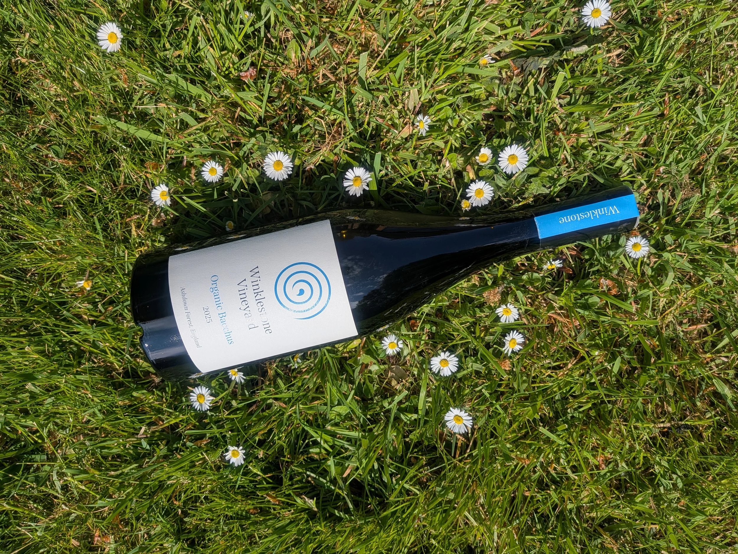 Winklestone Vineyard Ltd