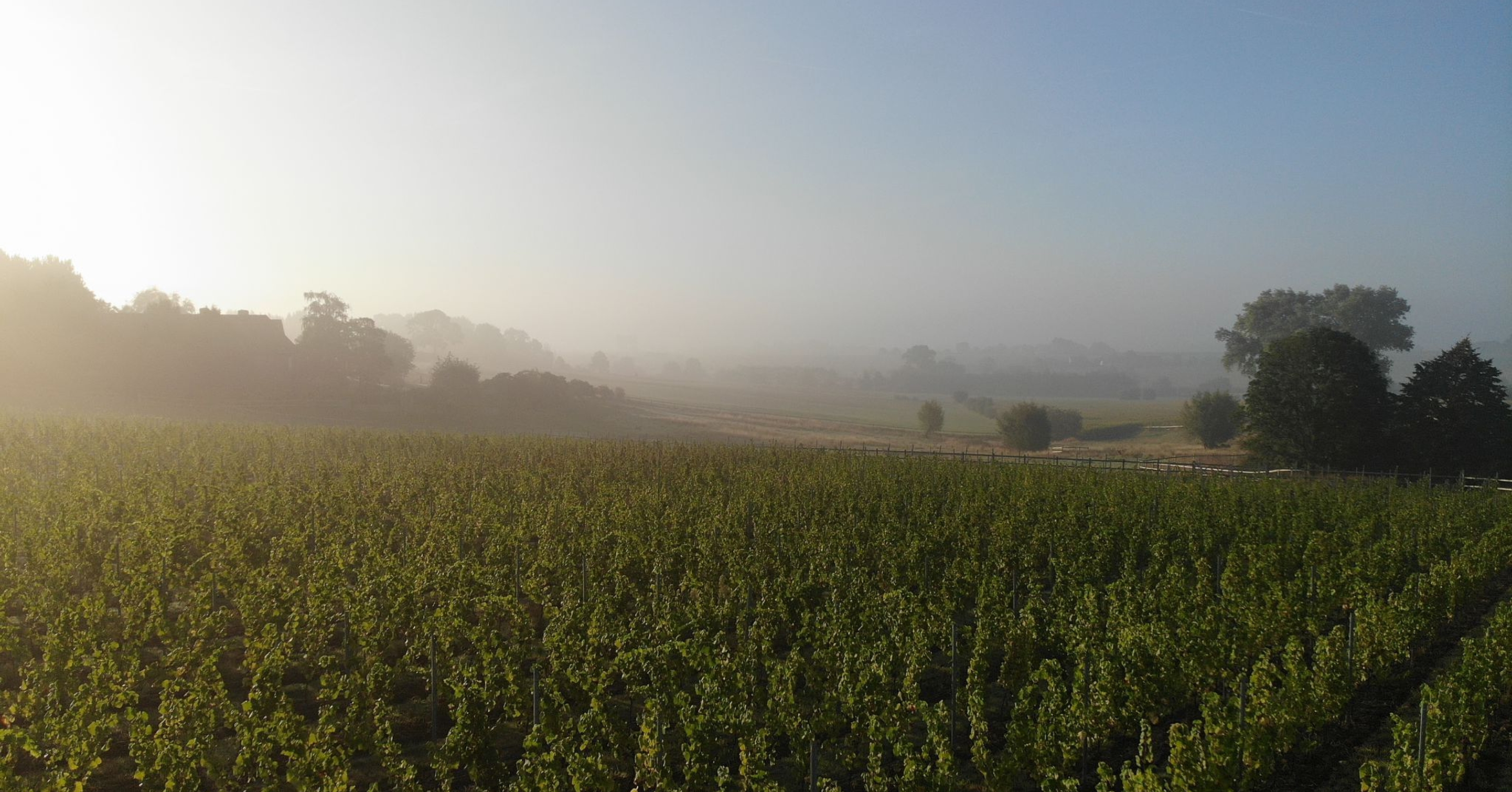Wijndomein Voosbeke