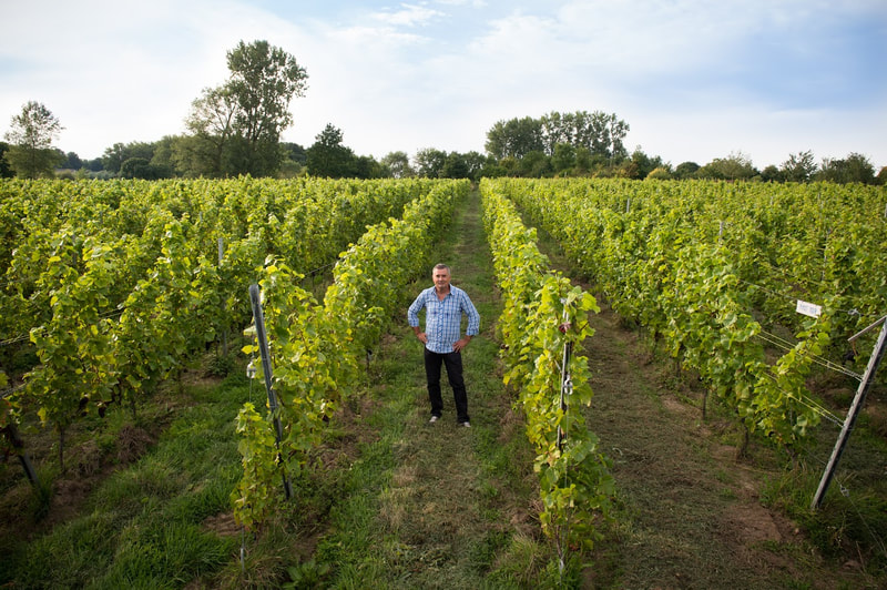 Wijndomein Pres de Gand