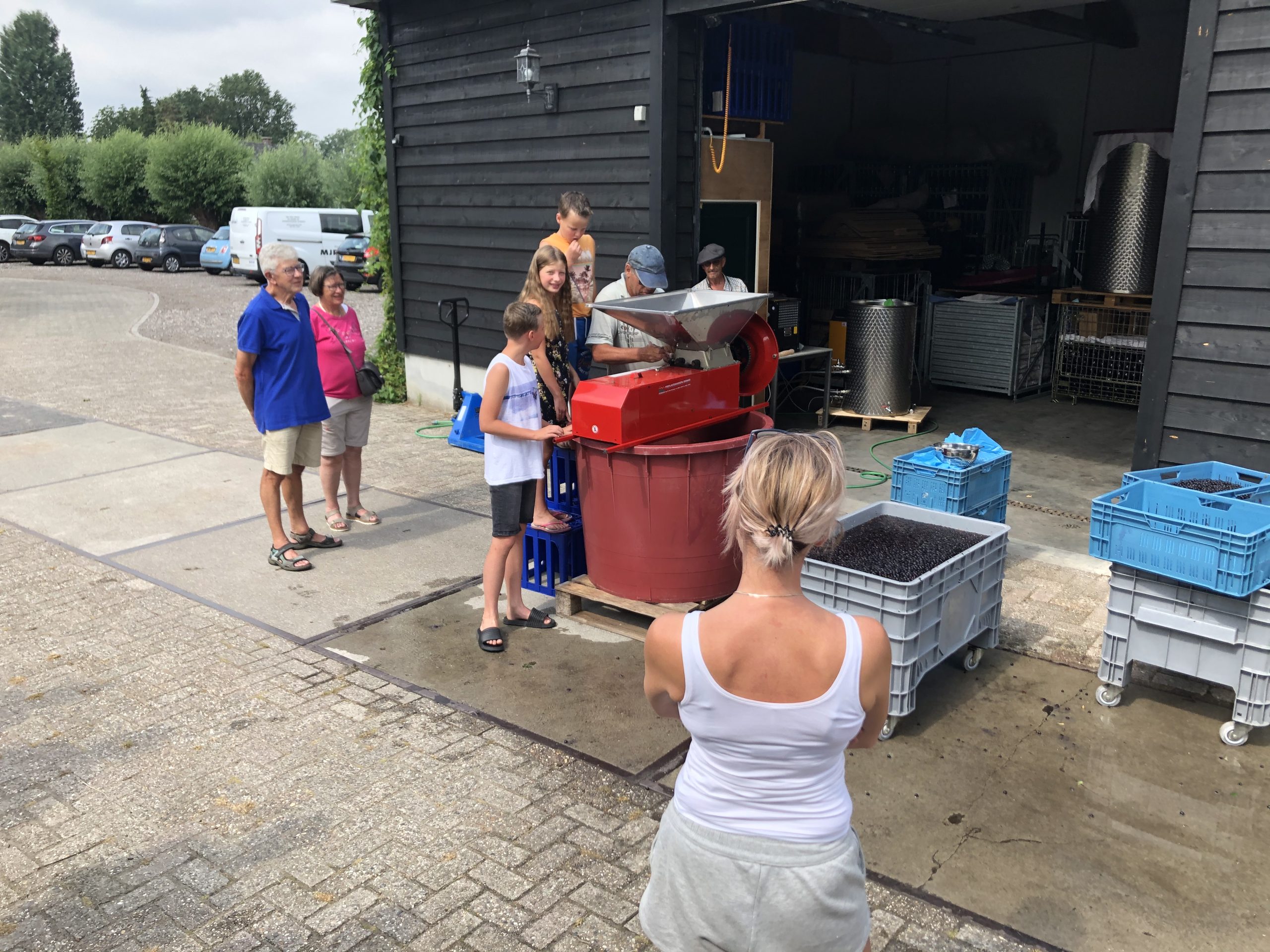 Kampeer en Wijnboerderij Winery & Herbs