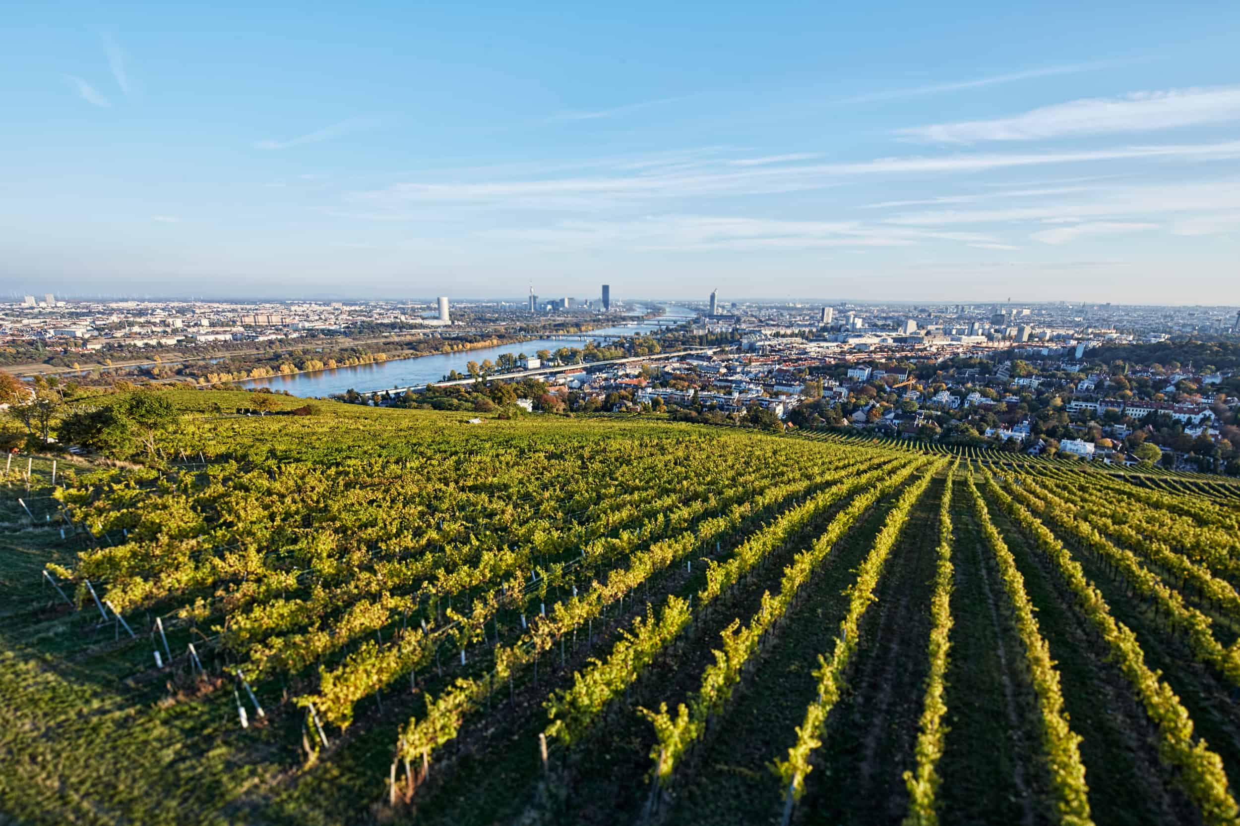 Weingut Mayer am Pfarrplatz